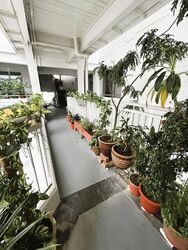 Blk 214 Choa Chu Kang Central (Choa Chu Kang), HDB Executive #502043041